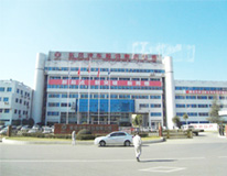 ���������ɷ����޹�˾