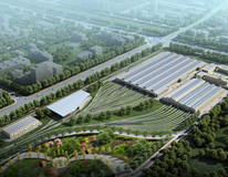 ������1�Ŷ�����